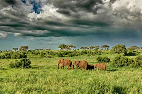 Serengeti National Park