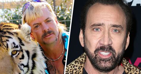 Nicolas Cage Interpretará A Joe Exotic De Tiger King En Tv El Siglo De Torreón