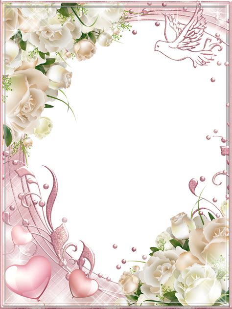 White Roses Pink Png Photo Frame Белая роза Рамки Свадебные альбомы