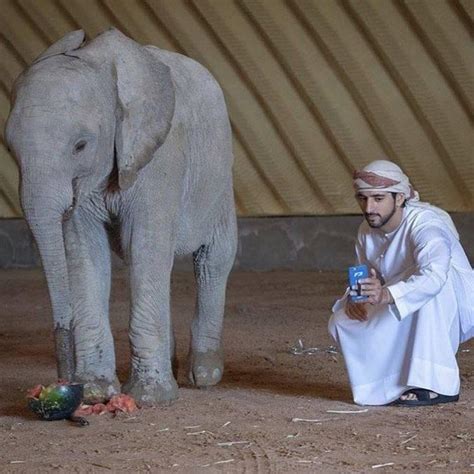 Fazza Fan Page On Instagram Faz Dubai Loveyourself Elephant