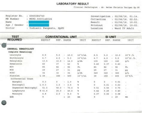 Examples Of Medical Lab Results