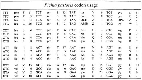 Codon Usage Chart: A Visual Reference of Charts | Chart Master