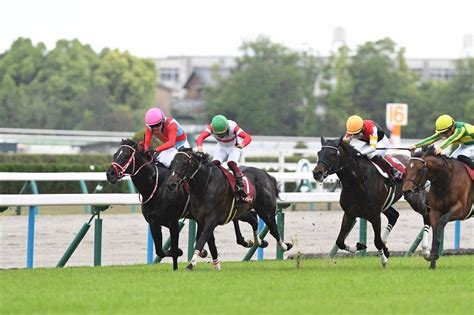 【2024 京都新聞杯】キープカルム＆武豊、ギャンブルルームand浜中！出走馬＆騎手一覧 競馬ジャッジ