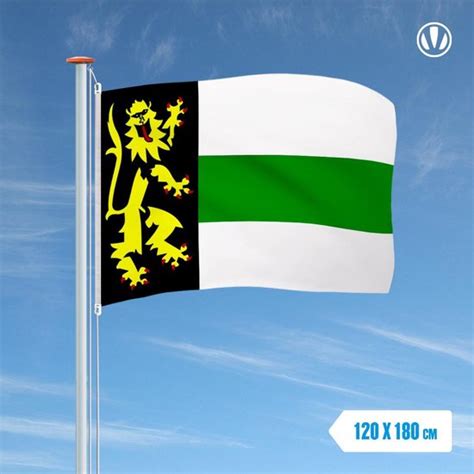 Vlag Druten 120x180cm Bol