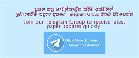 2023 2024 AL Science For Technology Past Paper Sinhala Medium PaperHub