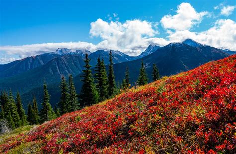 When Is The Best Time To Hike In British Columbia Best Hikes Bc