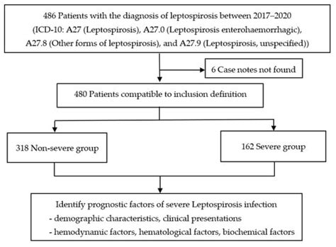 Tropicalmed Free Full Text Prognostic Factors For Leptospirosis Infection Severity