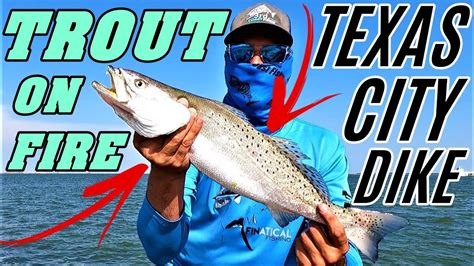 ANOTHER QUICK SPECKLED TROUT LIMIT FISHING TEXAS CITY DIKE BIG