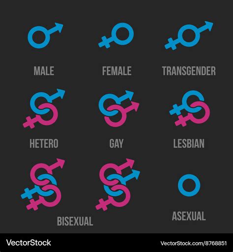 Sexual Orientation Icons Royalty Free Vector Image