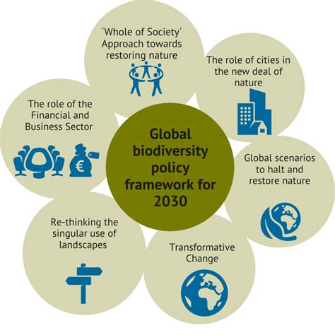 New Global Biodiversity Policy Framework For 2030 Central Topic At