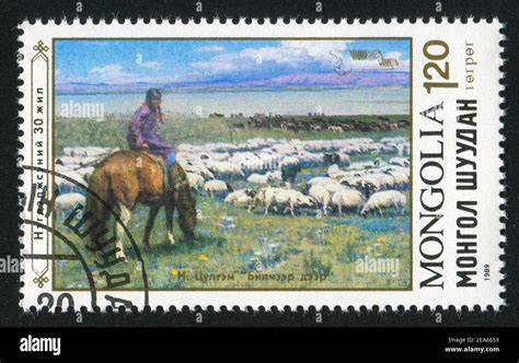 Mongolia Circa Stamp Printed By Mongolia Shows Sheep Shepherd