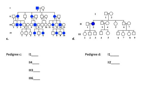 Solved For Each Of The Pedigrees Below Same As In 5a What Chegg