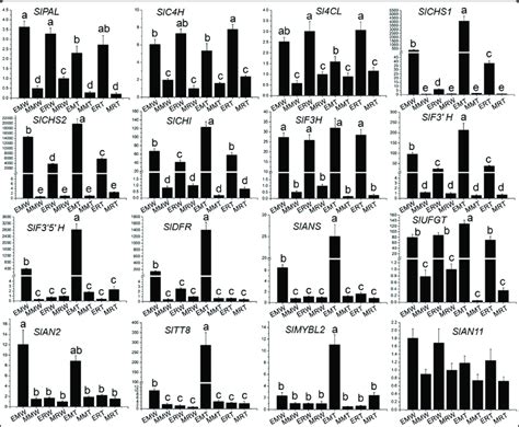 Expression Profiles Of Anthocyanin Biosynthetic And Regulatory Genes In