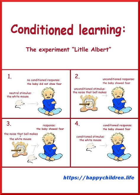 Examples of Operant Conditioning in Real Life