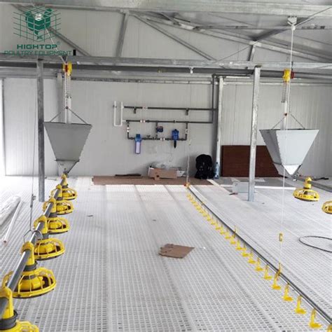 Poultry Broiler Chicken Automatic Floor Raising Farming Equipment With Automatic Feeding System