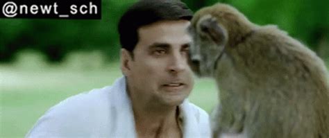 Housefull2010 Akshay Kumar Fight With Monkey GIF - Housefull2010 Akshay ...