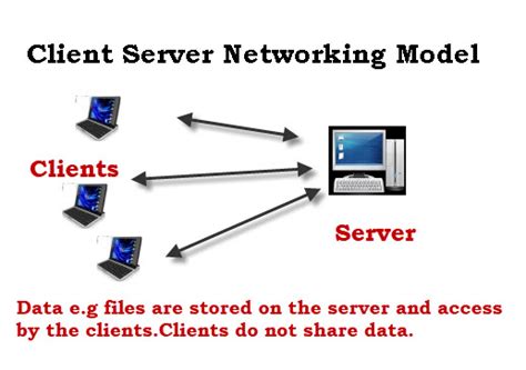 Basic Networking Concepts Beginners Guide