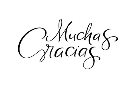 Thank You Vector Lettering Text In Spanish Muchas Gracias Hand Drawn