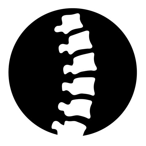 Spine clipart chiropractic, Spine chiropractic Transparent FREE for ...