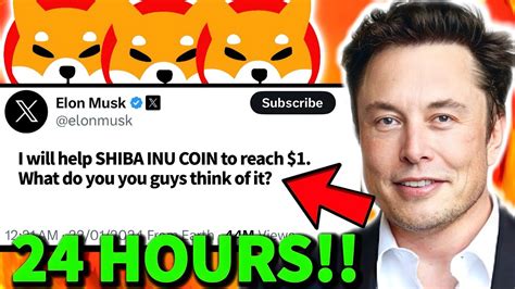 Shiba Inu Coin Elon Musk Will Help Shiba Inu To Reach No Joke