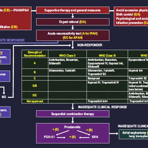 Evidence Based Treatment Algorithm For Pulmonary Arterial Hypertension Download Scientific