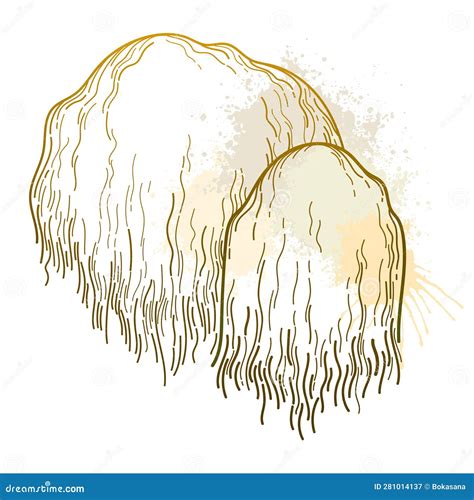 Bunch With Outline Lion S Mane Mushroom Or Hericium Erinaceus In Pastel