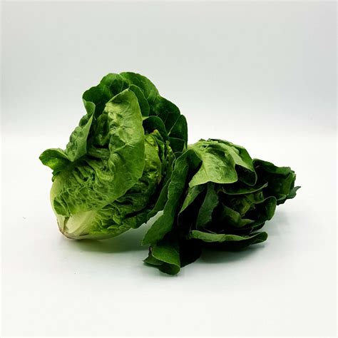 Little Gem Lettuce Pack Of 2 Rabbit And Co Devon