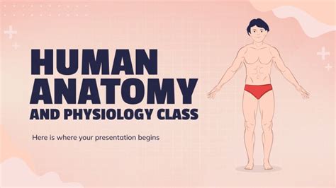 Human Anatomy And Physiology Class Google Slides PPT