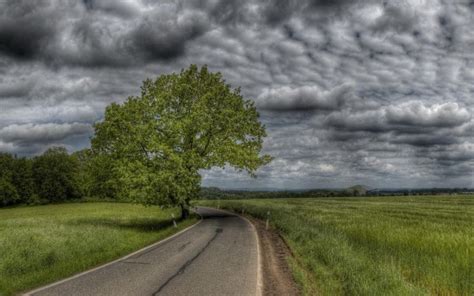 Kostenlose Hintergrundbilder Grüne Wiese in Der Nähe Der Straße Unter