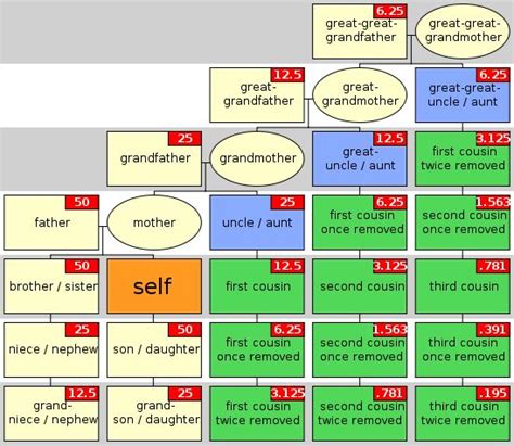 A Chart Illustrating The Different Types Of Cousins Including Genetic