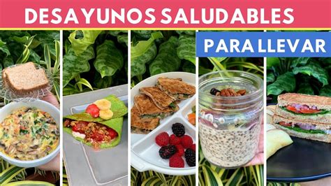 Descubrir 50 Imagen Ideas De Desayunos Saludables Para Llevar