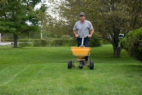 Lawn Doctor Vs Trugreen Which Lawn Care Service Should You Choose