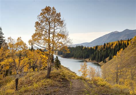 saving  stewarding long lake cb land trust