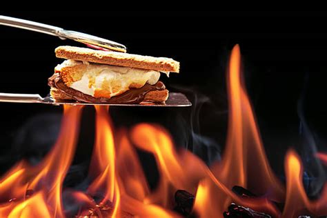 Smores Campfire Stock Photos Pictures And Royalty Free Images Istock