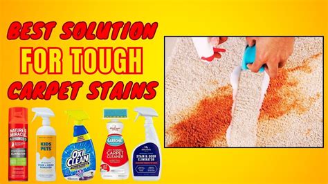 Best Carpet Spot Remover Ultimate Solution For Tough Carpet Stains