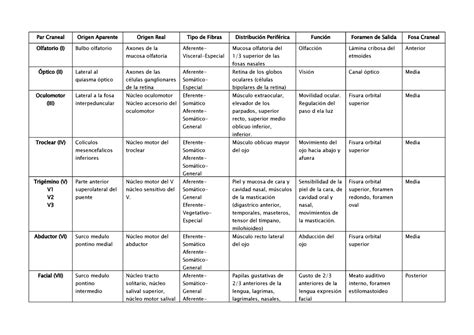 Pares Craneales Resumen Par Craneal Origen Real Origen Aparente P The
