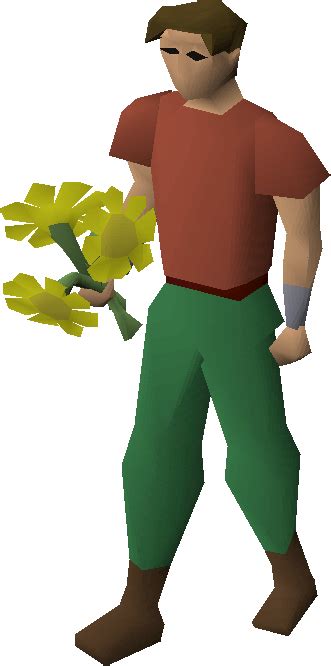 Yellow Flowers Old School Runescape Wiki Fandom