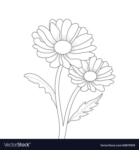 Daisy Flower Colouring Pages Infoupdate Org