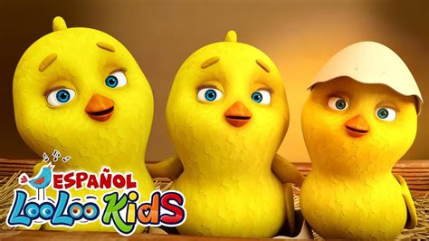 Los Pollitos Pio Pio Canciones Para Niños Canciones Infantiles En