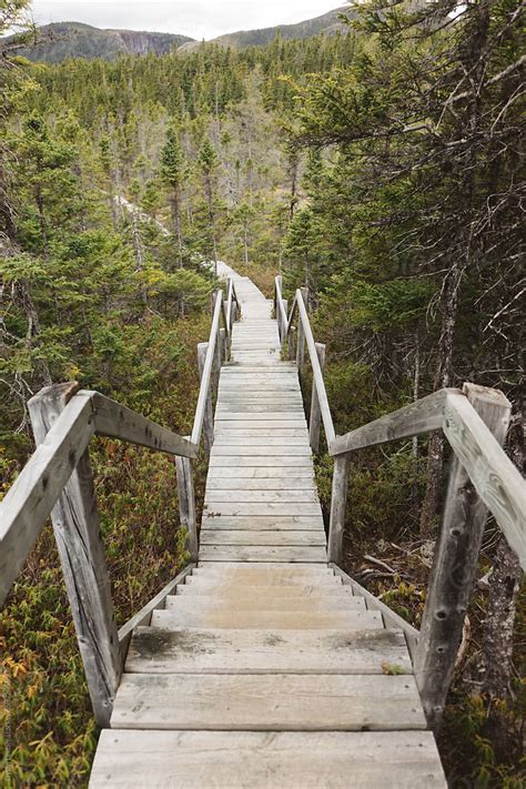 Looking Down Wooden Stairs Going Down A Mountain Stocksy United