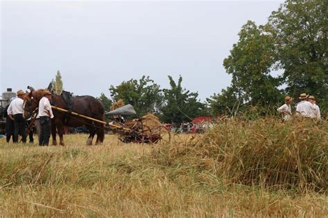 EN IMAGES La Fête du blé à Pleudihen sur Rance un hommage aux