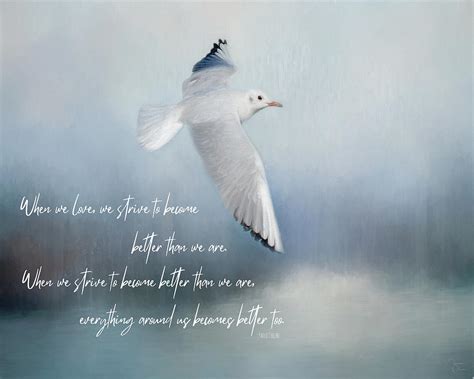 Seagull With Paolo Coehlo Quote Digital Art By Teresa Wilson Fine Art