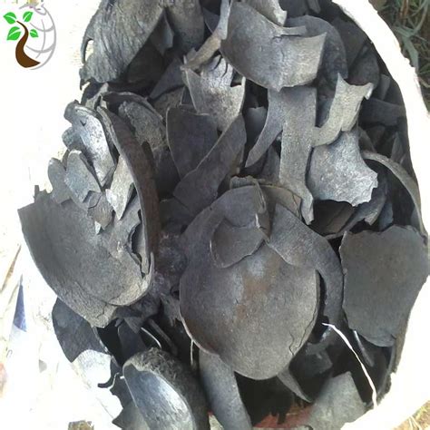 Amazing Uses Of Coconut Shell Charcoal