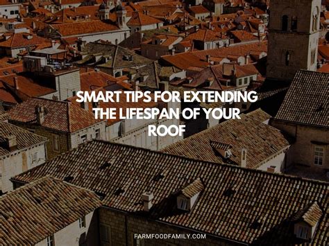 The Art Of Roof Maintenance Smart Tips For Extending The Lifespan Of Your Roof