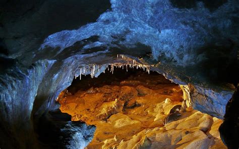 Cueva Del Oso Tella Sin