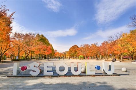 Premium Photo | SEOUL SOUTH KOREANOVEMBER 9 2020 Seoul forest Park in ...