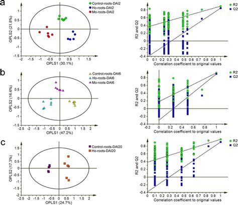 Opls Da Scores Plots Left And Permutation Tests Right Of Pls Da