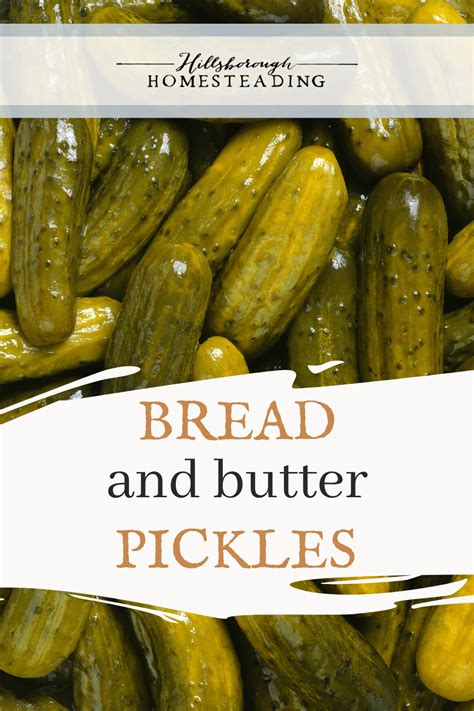 This Bread And Butter Pickles Recipe Is An Absolute Favorite Called Bread And Butter Because