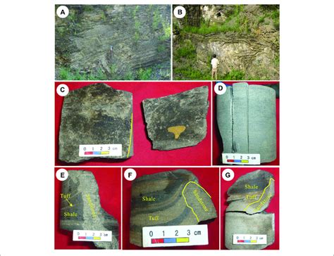 Outcrop And Core Photographs Of The Chang 7 Member In The Ordos Basin