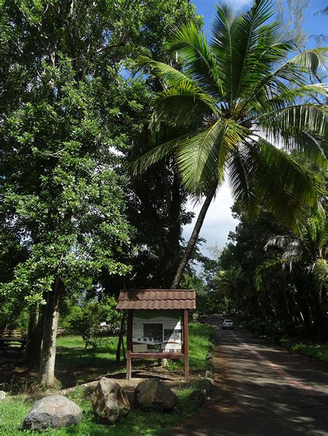 Domaine De La Vatable Lancement Du Projet Sous La Mandature De Robert